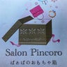 pincororonのプロフィール