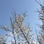 yuki-sei2019のサムネイル