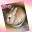 A-yoのサムネイル