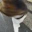 ティノのサムネイル