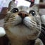 はなまるのサムネイル