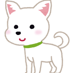 チワワな大家のプロフィール