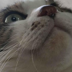 andante730のプロフィール
