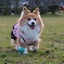 クーちゃんのサムネイル