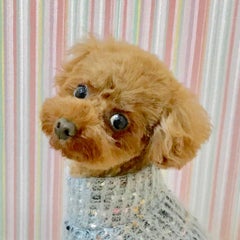りょうぷくのプロフィール