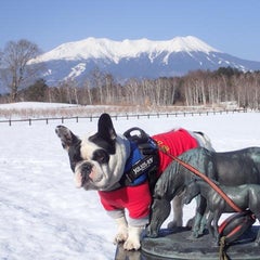 キャンカーおじさんのプロフィール