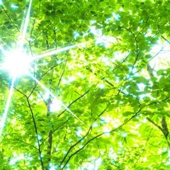 Newlifeのプロフィール