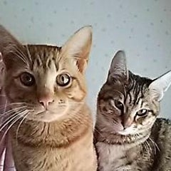 takakoのプロフィール