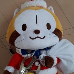 狸屋ジルのプロフィール