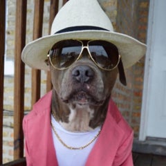 期待しないのプロフィール