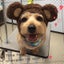 レンチャマナのサムネイル
