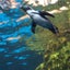 penpenのサムネイル