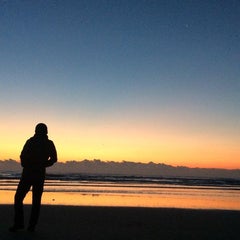 桜のプロフィール