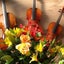 画像 ♪知らなかったヴァイオリンの楽しい世界♪のユーザープロフィール画像