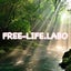画像 free-life-laboのブログ【枠にとらわれない自分らしい自由な整理収納・お片付け】のユーザープロフィール画像