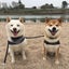りょう&かいのサムネイル