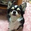 きらゆののサムネイル