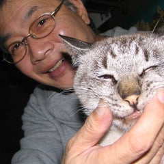 osakacinemake617のプロフィール