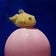 リアジェットのブログ