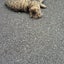 夕凪のサムネイル