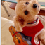 画像 guitarsoloist トム兼松のブログのユーザープロフィール画像