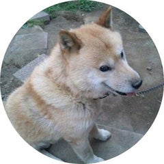 柚原のプロフィール