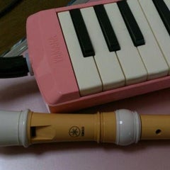 黄帽のプロフィール