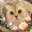 jamのサムネイル