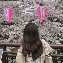 リサ/리사のプロフィール