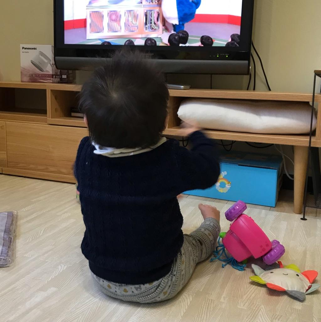 テレビの見方をどうするか さんかく屋根の素敵なおうち 憧れの北洲ハウジングで家づくり