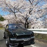 近藤レーシングのプロフィール