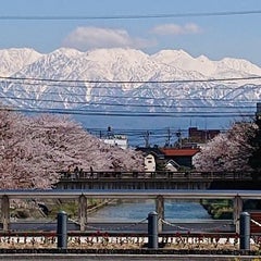 寺井のプロフィール