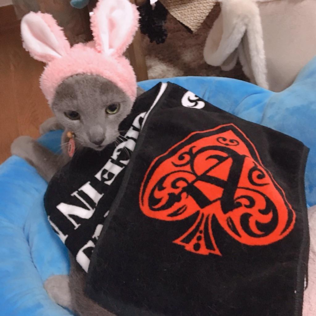 エリー。