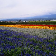 鬼怒川本流ヤマメを追う 水草 東古屋湖