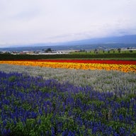 ヤマメ 鬼怒川 の一般ブログ検索結果 Ameba検索