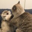 KUROのサムネイル