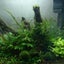 3児ママのサムネイル