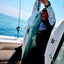 ファンキーベイト野郎！のサムネイル