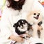 画像 愛犬と飼主さんのための可愛い輸入犬服&ハーネスのお店ゴーゴードッグスのユーザープロフィール画像