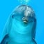 ティジャスのサムネイル