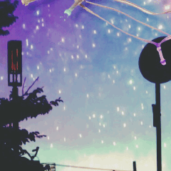 雫。のプロフィール