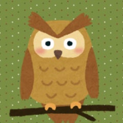 ころんのプロフィール
