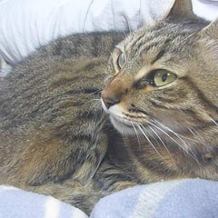 miyakowasure8のプロフィール
