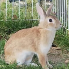 Mintのプロフィール