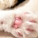 30歳。目指せマイナス14㌔りんと脂肪と、時々ねこฅ^.  ̫ .^ฅ♪