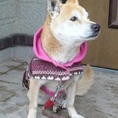 穴掘名人のプロフィール