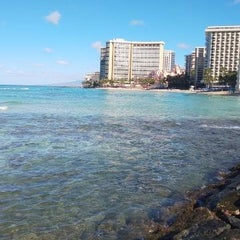 Kiyo-Hawaiiのプロフィール