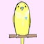 summerのサムネイル
