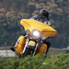 シゲのプロフィール