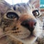ひでねぇのサムネイル